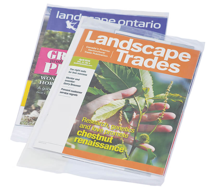 magazine issues in clear plastic bags